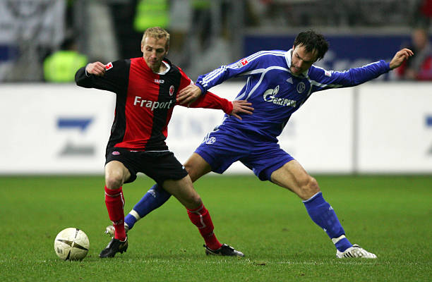 更像是一种 更像是一种