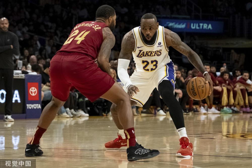 牛在培养年 牛在培养年